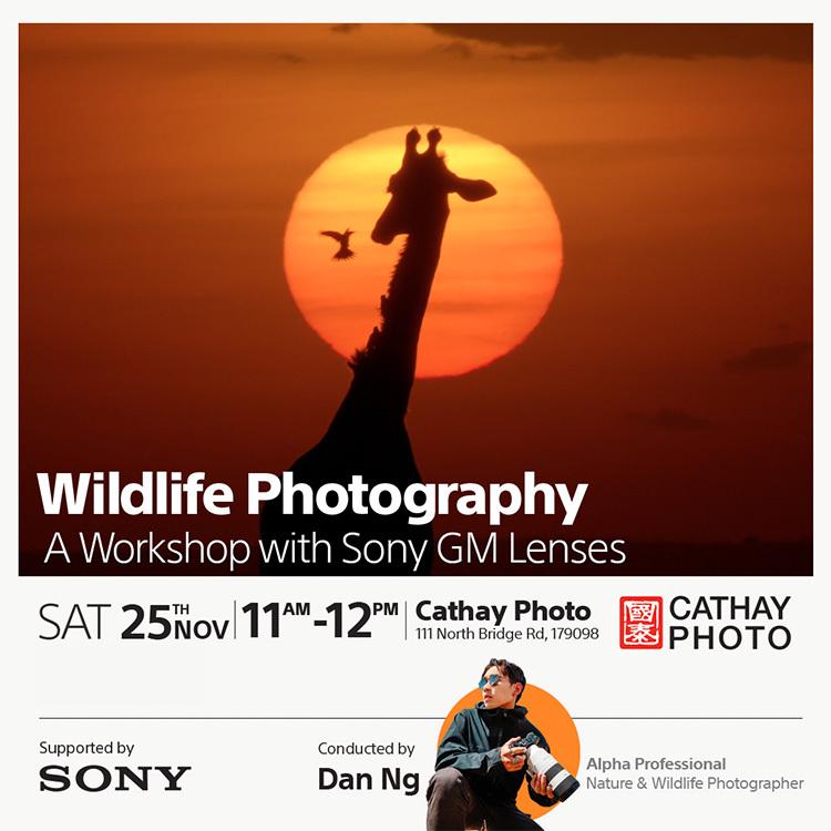 Wildlife Photography with Dan Ng